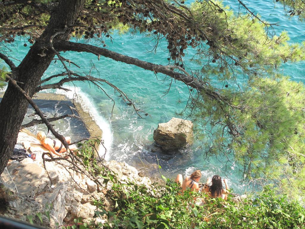 Vesna Doc Dubrovnik