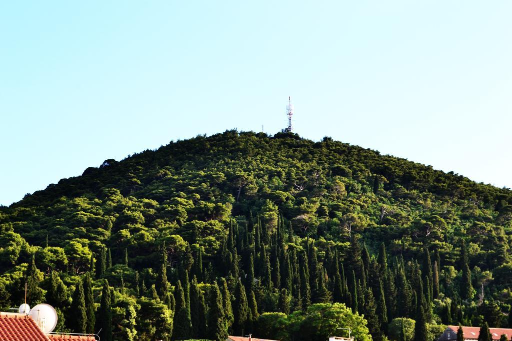Apartamento Vesna Doc
